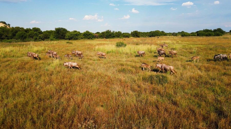 0 Bedroom Property for Sale in Hennenman Rural Free State